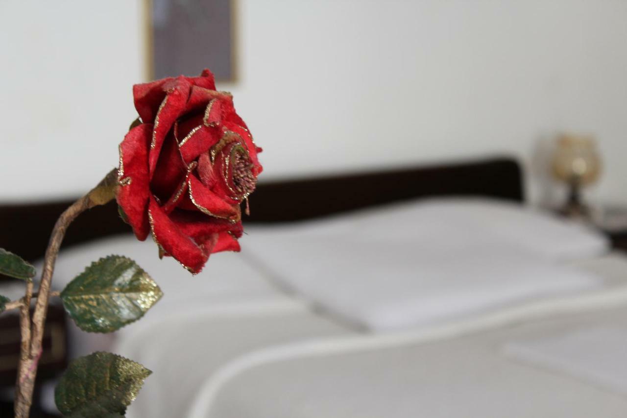 Tribunj Apartmani Dış mekan fotoğraf